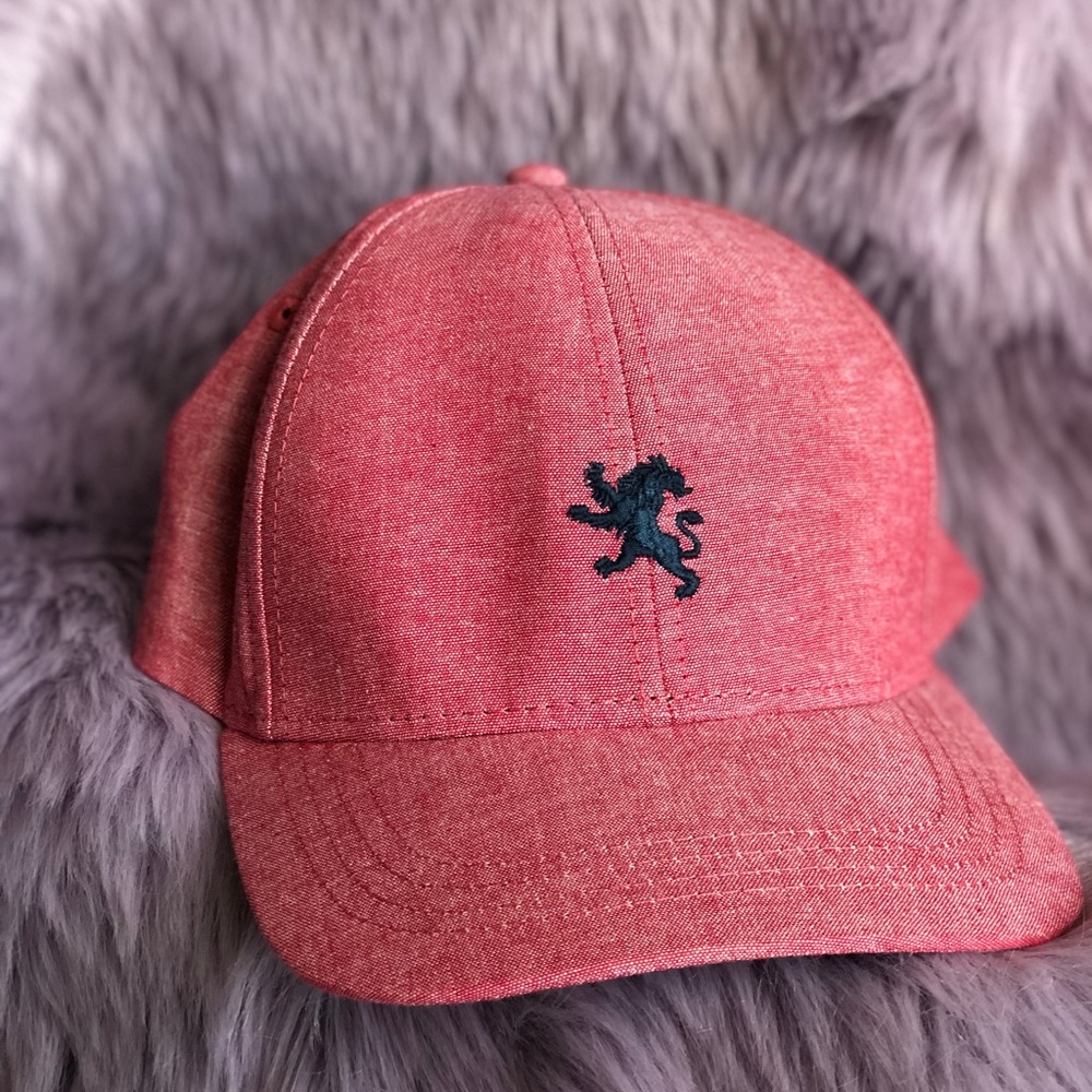 Men’s baseball cap - Express - Embroidered - NWOT